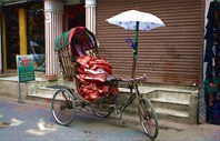 Граждане, идите пешком, сегодня рикша не вегетарианец